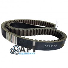 665957.0 Ремінь варіатора 57х30-2310La TAGEX