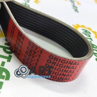 0005846271 Полікліновий ремінь CLAAS