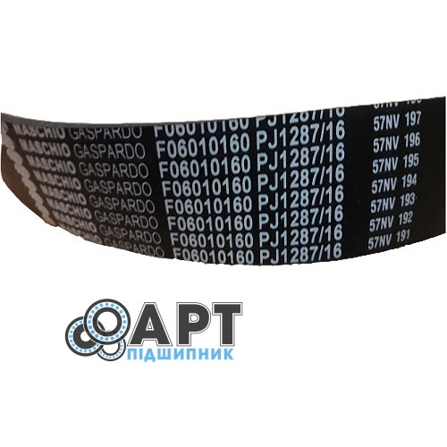 F06010160 Ремінь багатострумковий Gaspardo