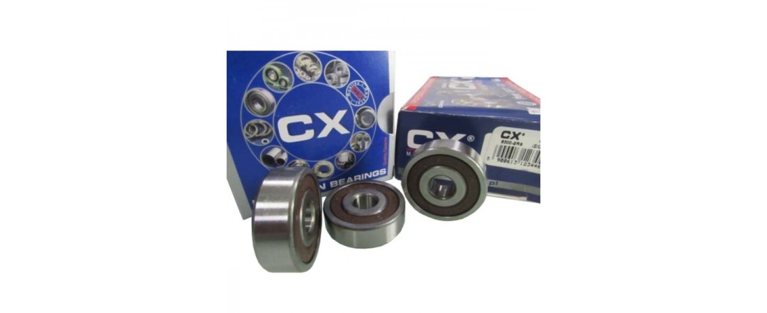 6300-2RS CX Підшипник однорядний кульковий