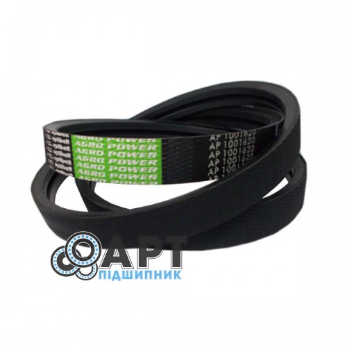 AP1001620 Двухручейний ремінь Optibelt