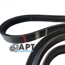 0006288880 Двострумовий ремінь Tagex