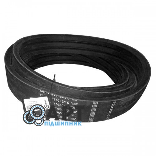 1541702C1 Багаторучковий ремінь CNH