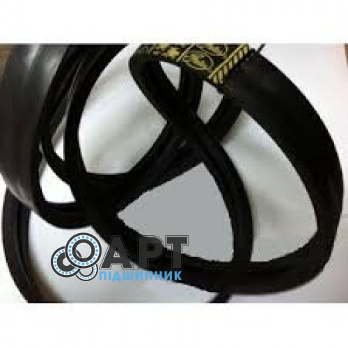 667251.0 багатострумковий ремінь CLAAS