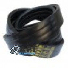 2124287 багатострумковий ремінь Gates