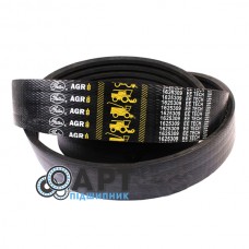 1625309 Багаторучний ремінь Gates