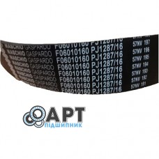 F06010160 Ремінь многоручейний Gaspardo Carlisle