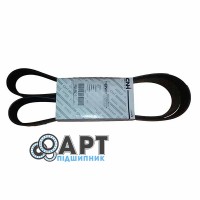 504049425 Багатострумковий ремінь CNH