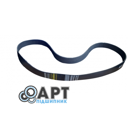 0286295 Багаторучний ремінь Gates