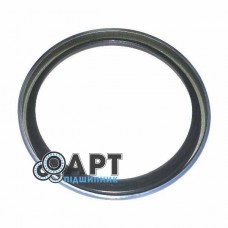 BN302044 Сальник (Без упаковки) CNH