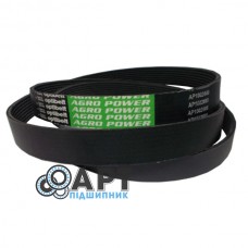 AP1002668 Багатострумковий ремінь Optibelt
