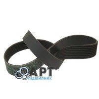 8PK1130 Багато струмковий ремінь Carlisle