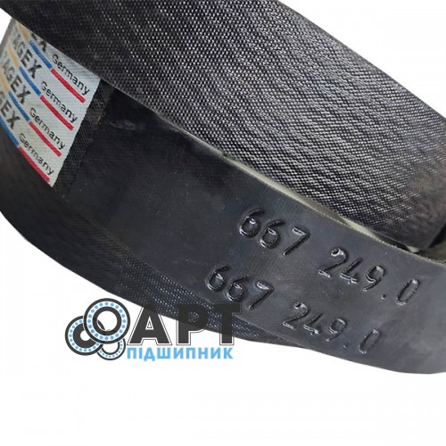 667249-T Двухручейний ремінь Tagex