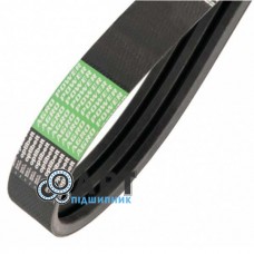 AP1003973 Ремінь приводу помпи Optibelt