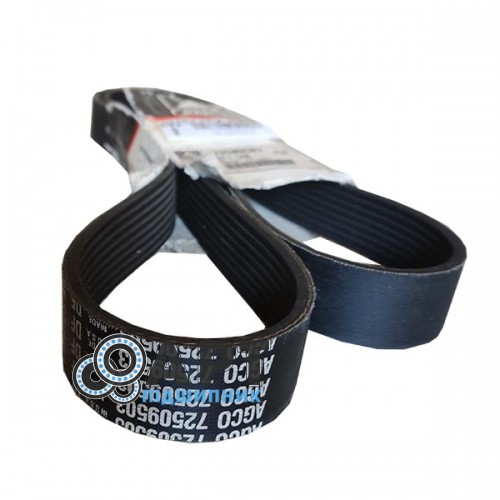 72509503 Многоручейний ремінь Massey Ferguson (Agco Parts)