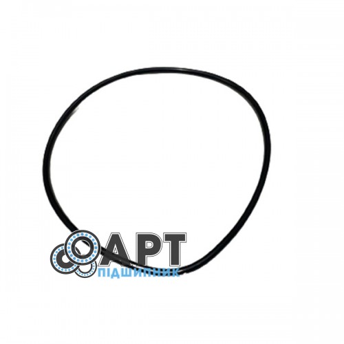 70NBR Кільце ущільнювальне 100х370 Dichtomatik