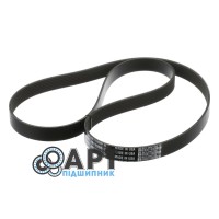 J911566 Ремінь багаторучний CNH