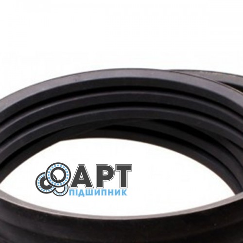 0244287 багатострумковий ремінь Gates