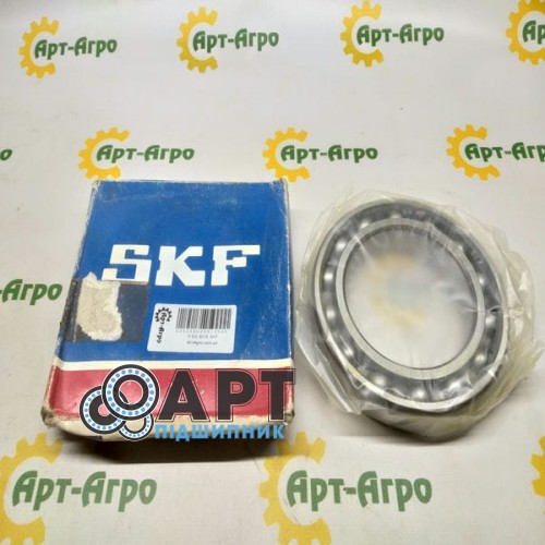 6018 SKF Підшипник