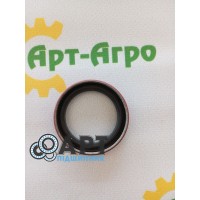 481163 Сальник National