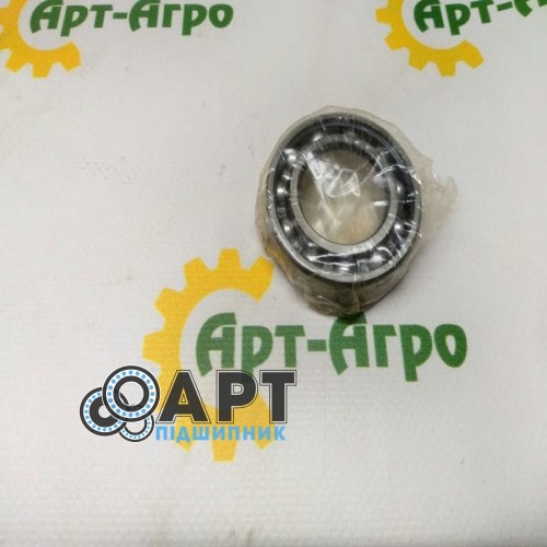 6006 RSH FAG Підшипник