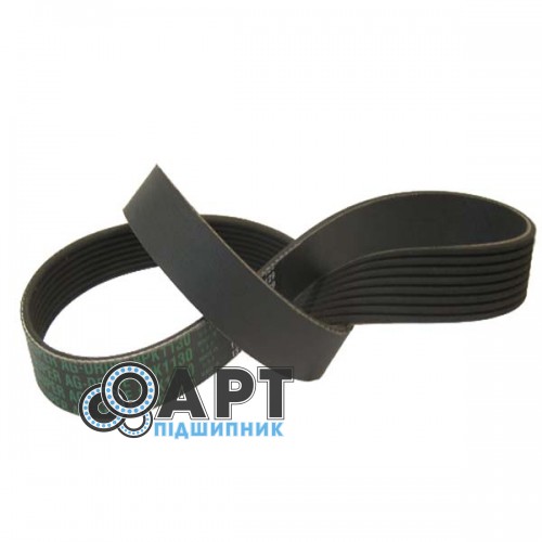 8PK1130 багатострумковий ремінь Carlisle