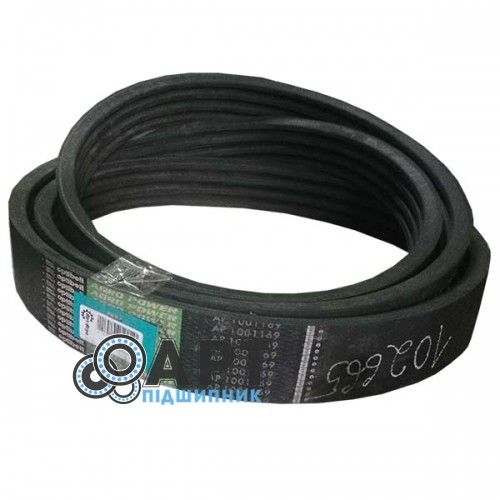 AP1001169 Трьохручейний ремінь Optibelt