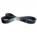 AP1003718 багатострумковий ремінь Optibelt