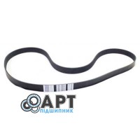 067290 Багатострумковий ремінь CLAAS