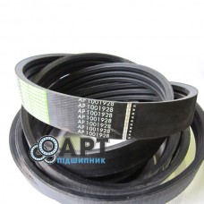 AP1001928 Багатоклиновий ремінь Optibelt