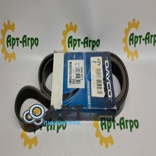 6PK1613 Ремінь полікліновий DAYCO