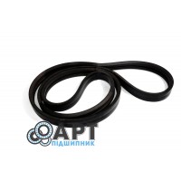 87549557 Двох струмковий ремінь CNH