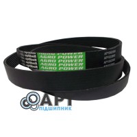 AP1002668 Багатострумковий ремінь Optibelt
