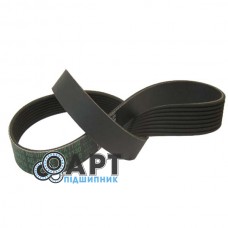 8PK1130 Багато струмковий ремінь Carlisle