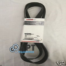 84373502 Багато струмковий ремінь CNH