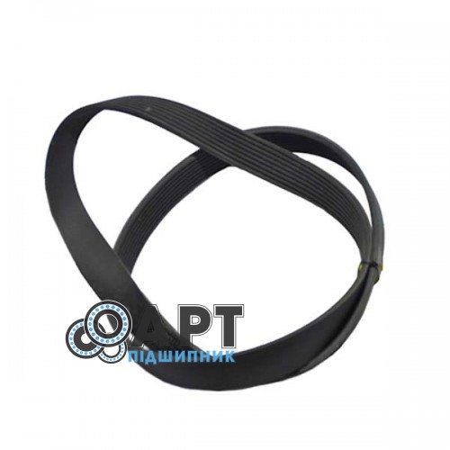 8PK1955 Багаторучний ремінь Contitech