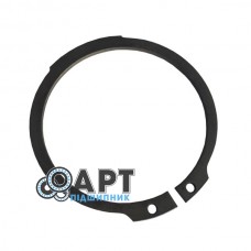 AG520005 Стопорне кільце Agco Parts