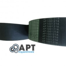 AP1003663 чотирьохструмковий ремінь Optibelt