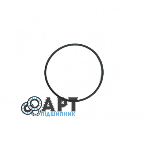ORS152867 Кільце ущільнювальне O-Ring 72,7×2,62 мм (Passerotti)