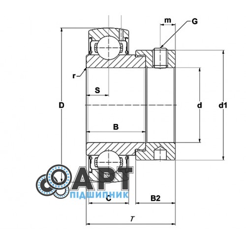 RAE40-NPP-B INA ORIGINAL Підшипник