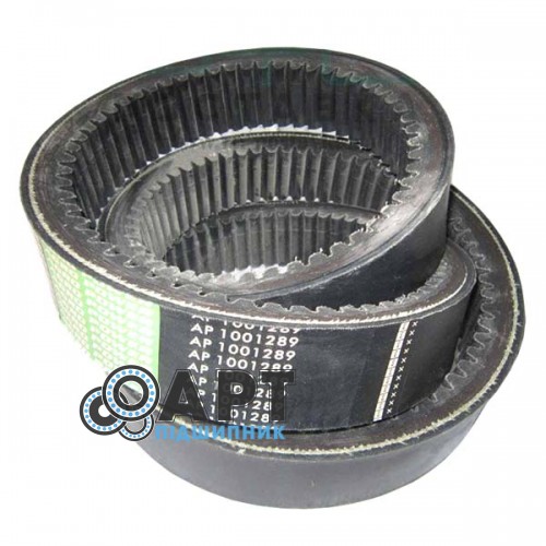 AP1001289 Ремінь варіатора Optibelt