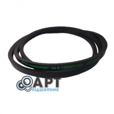 1989217C1 Одноручейний ремінь CNH