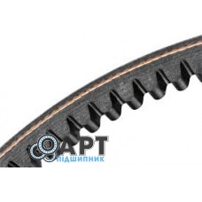 Ремінь Carlisle HB8816F2233