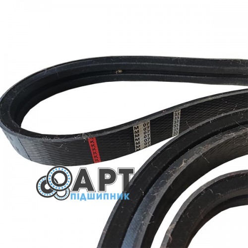 0006288880 Двухручейний ремінь Tagex